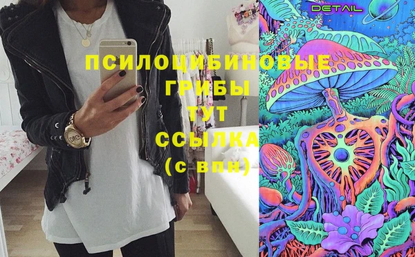 стафф Алексин