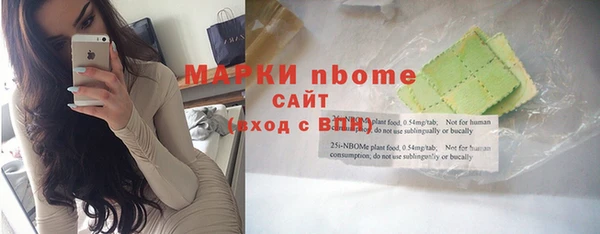 стафф Алексин
