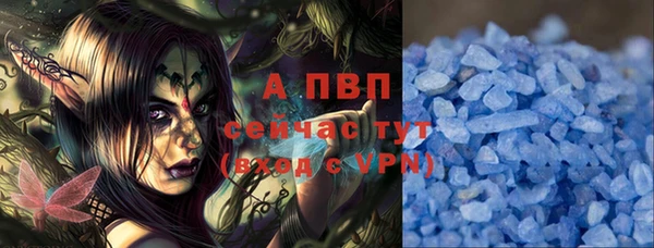 стафф Алексин